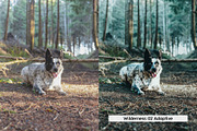 20 Overland Lightroom Presets LUTs, a Preset Add-On by SparkleStock (Thumbnail 11 of 16)