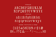 Douglas Thomson, a Serif Font by Cruzine (Thumbnail 5 of 8)