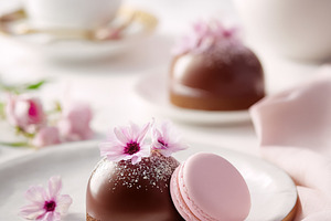 Elegant chocolate dome dessert with pink macaron and spring flow, a Photo by Studio ANNA