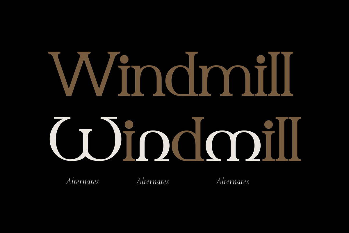Cedor Gusron - Luxury Serif Typeface, a Serif Font by Imoodev (Photo 3 of 5)