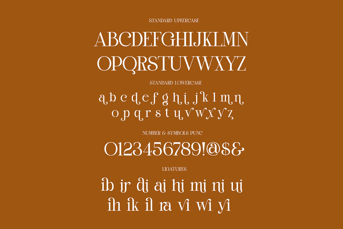 Marlin Modern Elegant Serif, a Serif Font by Alfinart (Photo 10 of 11)