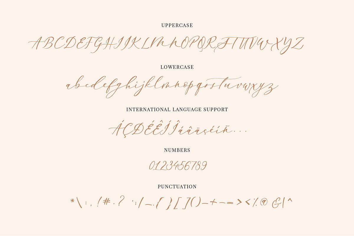 Enchantress | Luxury Script, a Script Font by theinkaffair (Photo 8 of 9)