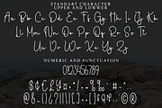 Darling Wonderful, a Handwritten Font by FreshTypeINK (Thumbnail 7 of 8)