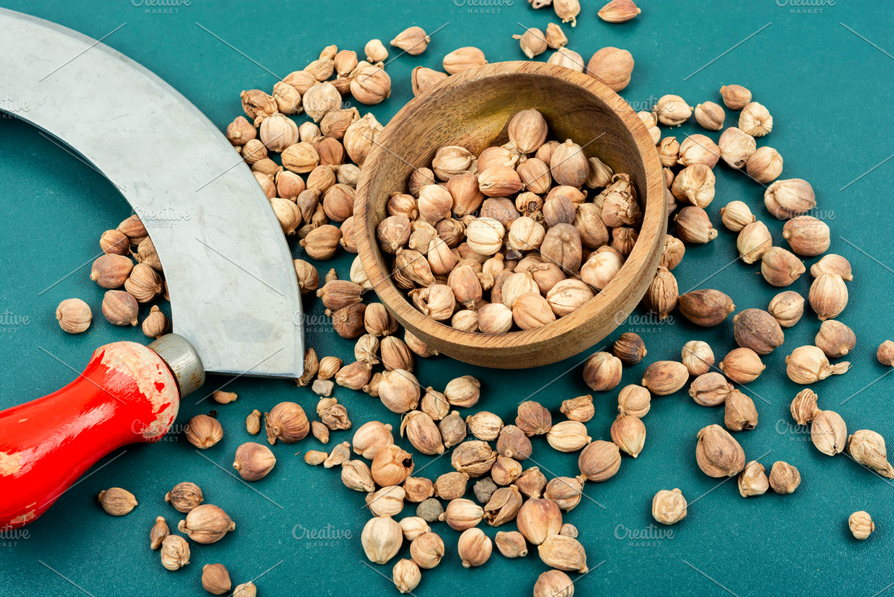 White cardamon seed, spice., a Food & Drink Photo by MLunov MLunov