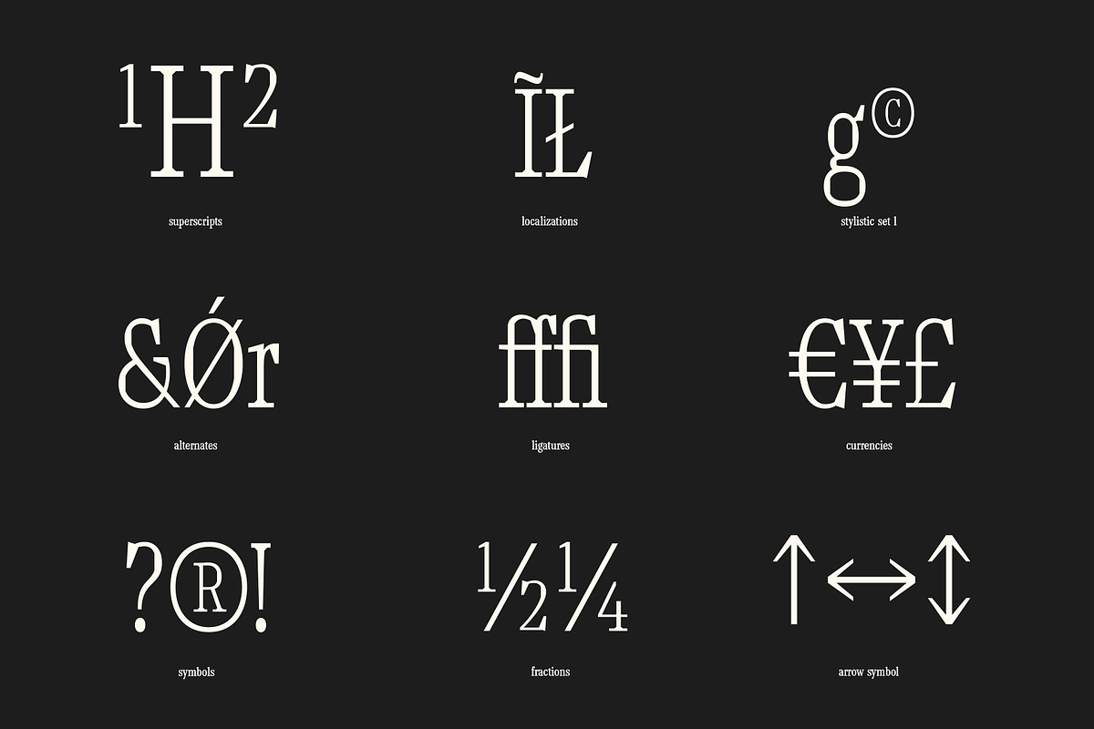 TF Mighu - Modern Slab Serif, a Serif Font by Type Flock (Photo 7 of 15)