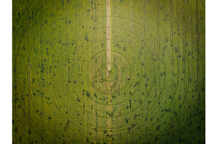 Sunflowers field aerial view., a Nature Photo by Maksym Zaitsev