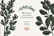 Sage Green Citrus Illustrations, an Object Illustration by Fire Spark Studio (Thumbnail 2 of 9)