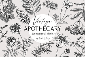 Apothecary Plants & Herbs Vector Set