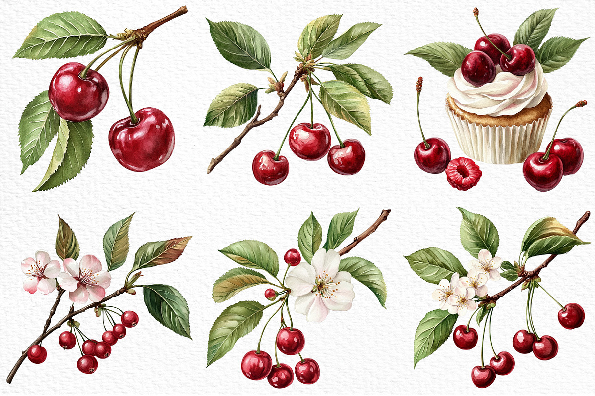 Watercolor Cherry Clip Art, an Illustration by Craft Nest (Photo 6 of 12)