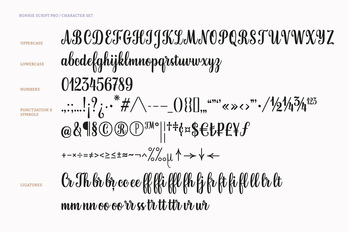 Bonnie Script Pro, a Script Font by Type and Graphics Studio (Photo 21 of 26)