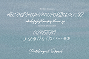 Wotteris Siottin - Handwriting, a Handwritten Font by Pinakiaa Studios (Thumbnail 4 of 12)