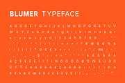 Blumer Modern Branding Sans Serif, a Sans Serif Font by Foxtype (Thumbnail 9 of 9)