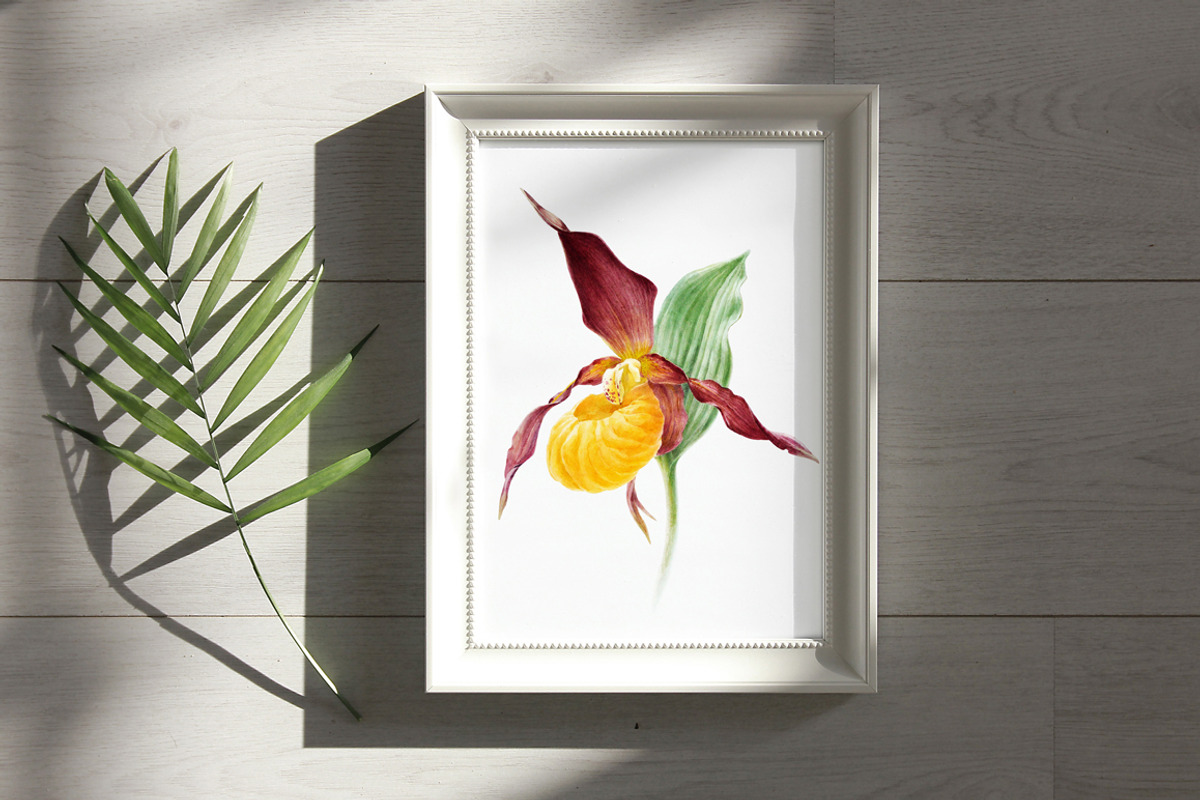 Botanical art watercolor and pencils, a Food Illustration by ViktoriArt (Photo 6 of 16)