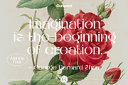 AMORIA Font Display Sans Serif, a Sans Serif Font by Guna Studio (Thumbnail 10 of 12)