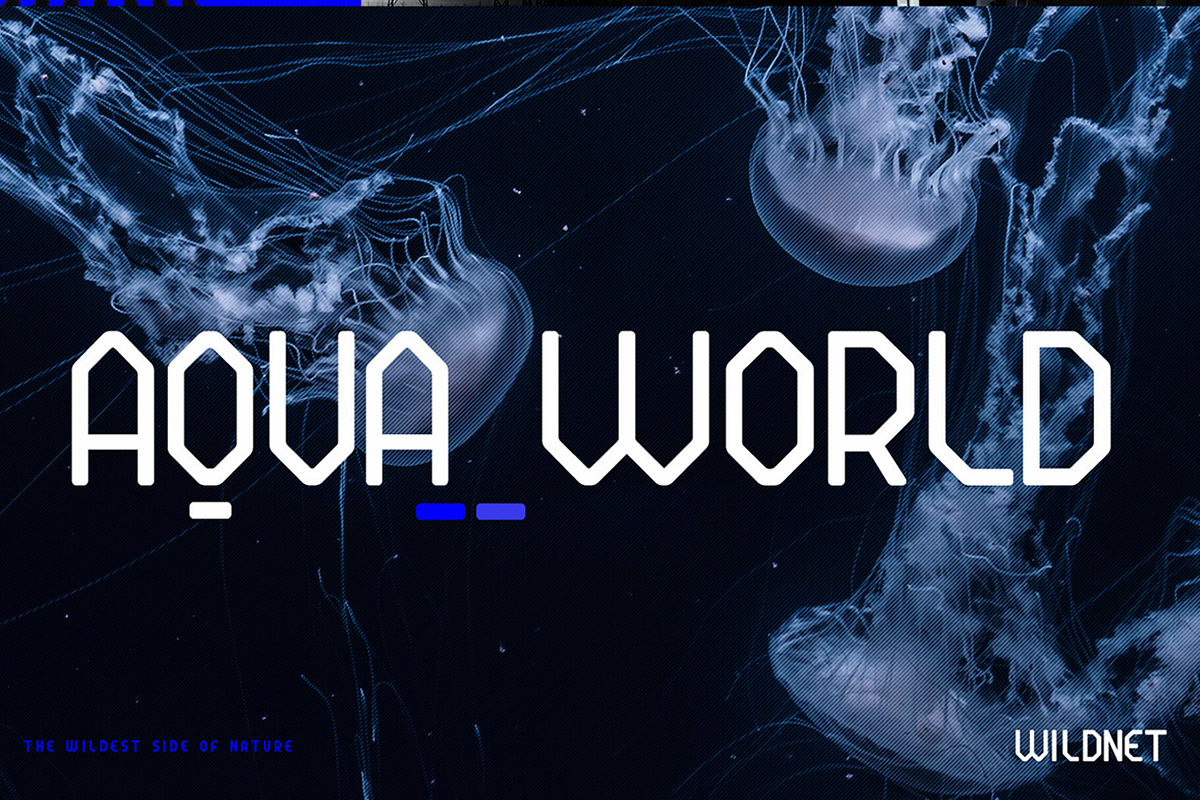 RQND Pro 2 - Type System (20 fonts ), a Sans Serif Font by Tondi Type Studio (Photo 13 of 25)