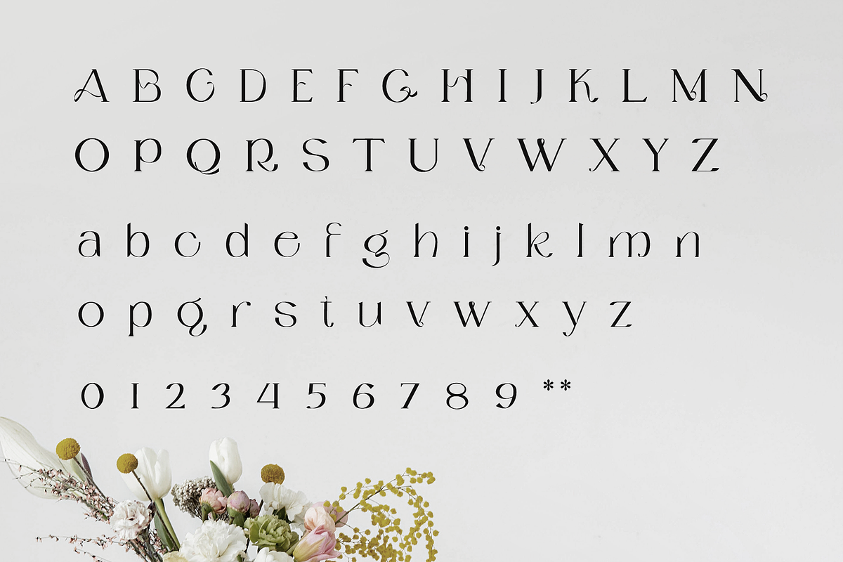 Lequis - Classic Serif Font, a Serif Font by ivan_artnivora (Photo 4 of 5)