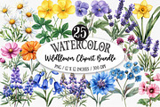 Wildflower Clipart Bundle, an Illustration by Designking (Thumbnail 1 of 5)