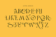 Movisa, a Serif Font by zaaintype (Thumbnail 12 of 15)