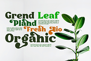 Kelimajaroe | Bold Vintage, a Serif Font by LuhopCreative (Thumbnail 9 of 11)
