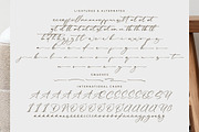 Rulligedro Modern Calligraphy Script, a Script Font by Letterena Studios Script (Thumbnail 14 of 15)