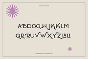 November Guest - An Edgy Serif, a Serif Font by Like Magic Studio (Thumbnail 4 of 10)