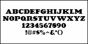 Industrial Poster JNL, a Serif Font by Jeff Levine Fonts (Thumbnail 3 of 5)