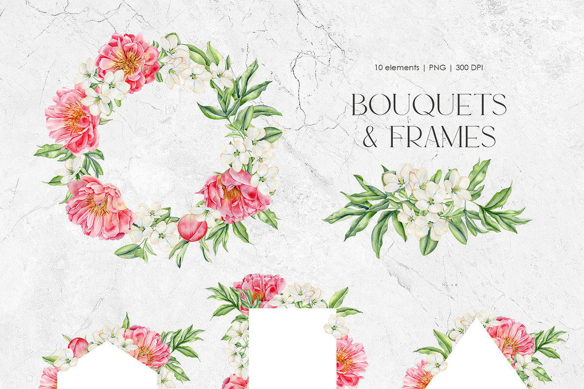 Peonies - Watercolor Collection, an Illustration by PatrushevaYana (Photo 6 of 9)