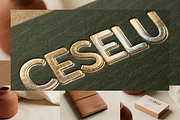 Ceselu - A Refined Luxury Serif, a Serif Font by Astuti Studio (Thumbnail 10 of 24)