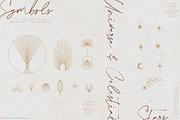 Celestial Kit, an Animal Illustration by Julia Dreams (Thumbnail 11 of 13)