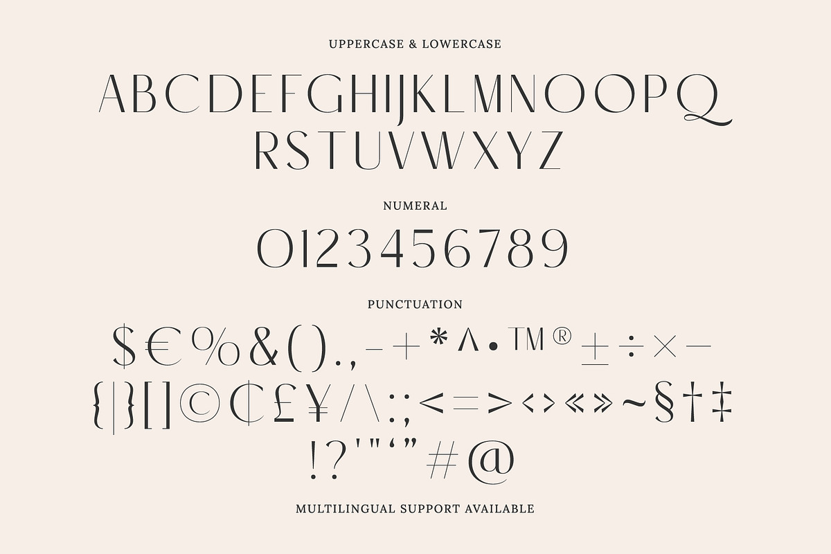 Romance Logic, a Sans Serif Font by Prioritype Co (Photo 7 of 9)