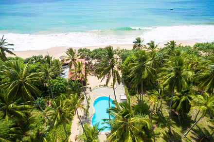 Sea beach, coconut palm trees, a Nature Photo by Lopatin Photo
