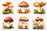 Botanical Autumn Mushrooms Clipart, an Illustration by Dream Creation (Thumbnail 7 of 7)
