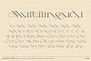 Aphyx - Modern Serif Font, a Serif Font by Gleb Guralnyk (Thumbnail 10 of 10)