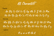 The Hamburg Script Font, a Script Font by Youthlabs Studio (Thumbnail 11 of 19)