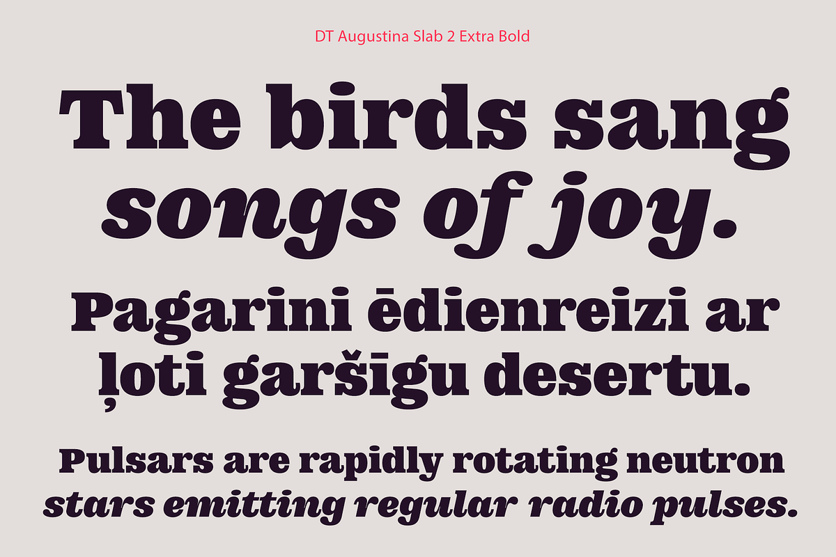 DT Augustina Slab 2 Subfamily, a Slab Serif Font by Deveze Type Foundry (Photo 15 of 30)