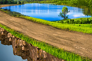 Off road with greenery landscape, an Illustration by Nomad (Thumbnail 3 of 5)