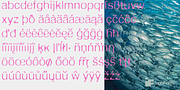 DeFonte Plus, a Sans Serif Font by ingoFonts (Thumbnail 7 of 10)