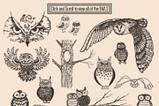 Northern Wilderness Collection: Owls, an Animal Illustration by Barn Owl Studio (Thumbnail 3 of 5)