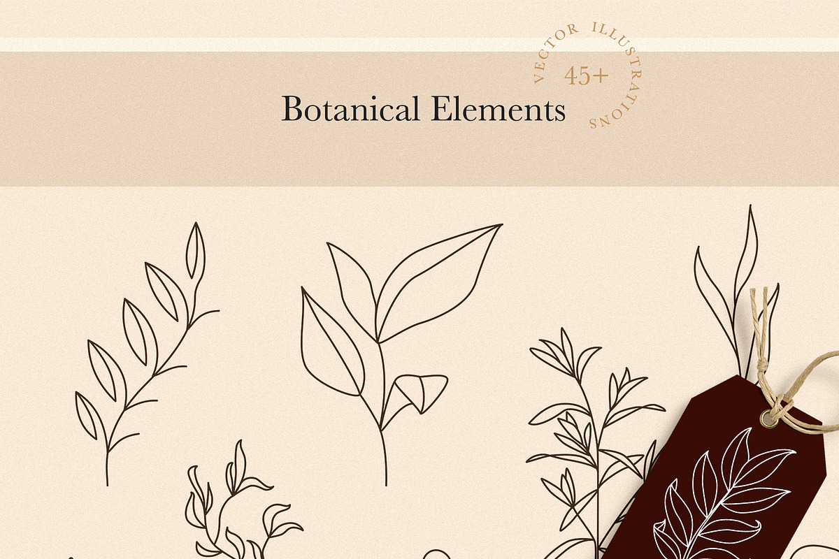 Botanical Elements for Logo Design, a Texture Illustration by amber&ink (Photo 2 of 10)
