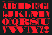 Shomina Font, a Serif Font by Cuchi, qué Tipo! Foundry (Thumbnail 16 of 21)