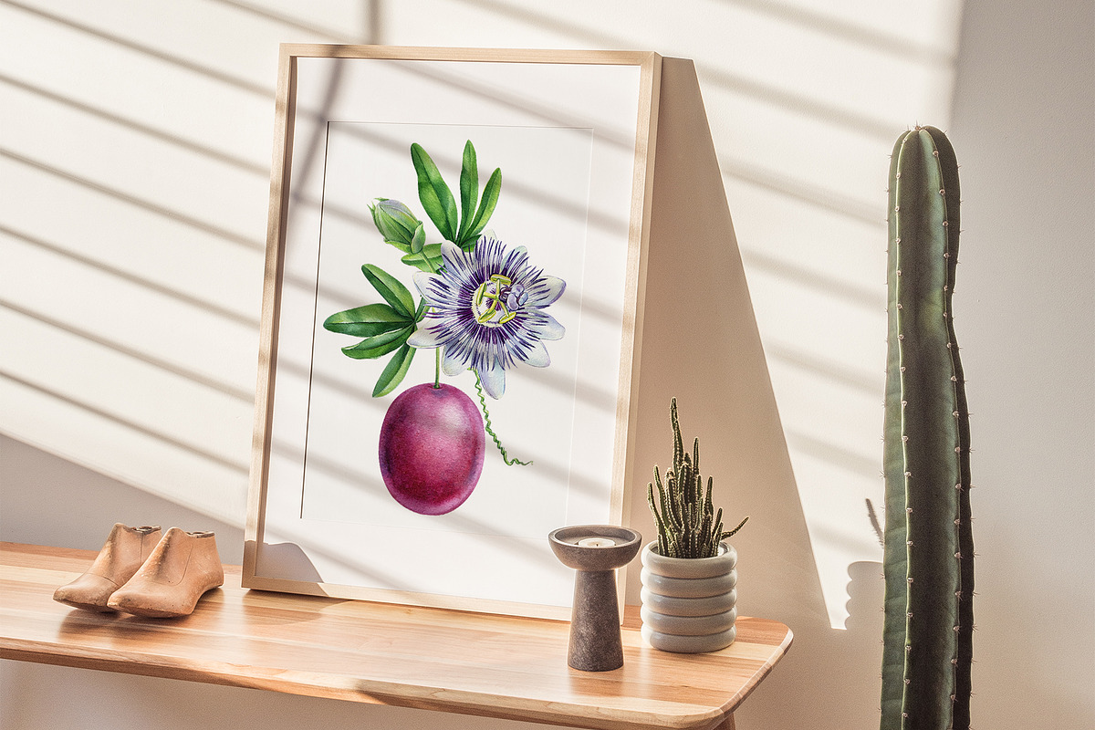 Fruits and berries, an Illustration by Hanna Hryharenka (Photo 15 of 16)