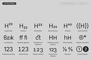 TT Commons Pro Basic, a Sans Serif Font by TypeType (Thumbnail 12 of 15)