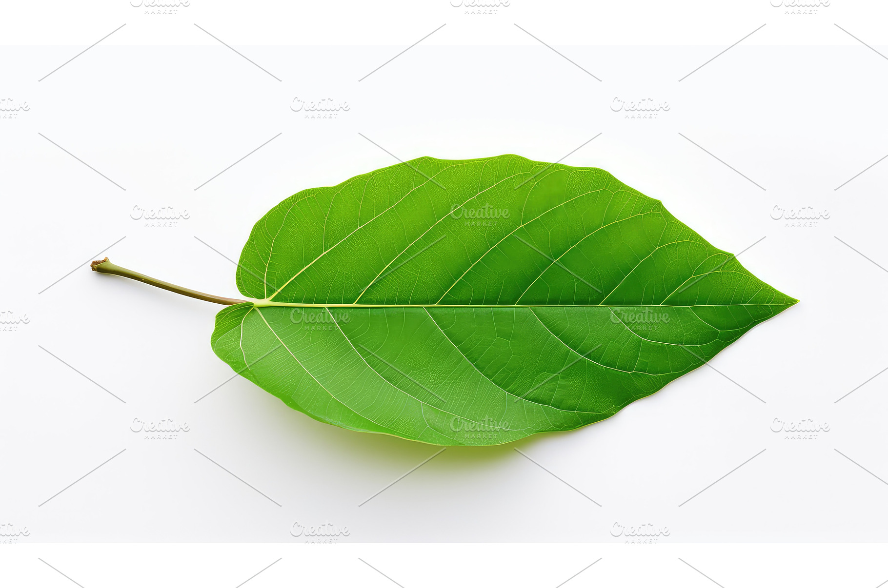 organic leaves product background ai, a Nature Photo by pikepicture