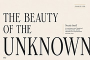 Noctis Serif, a Serif Font by Wow Magic (Thumbnail 3 of 5)