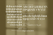 Stlier - Luxury Serif Font, a Serif Font by Luna Shop (Thumbnail 6 of 8)