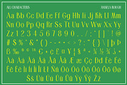Ansela Rough, a Sans Serif Font by Craft Supply Co. (Thumbnail 8 of 8)