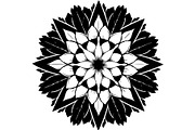 Round Floral Mandala Bundle, a Decorative Illustration by Designer_Momina (Thumbnail 3 of 19)