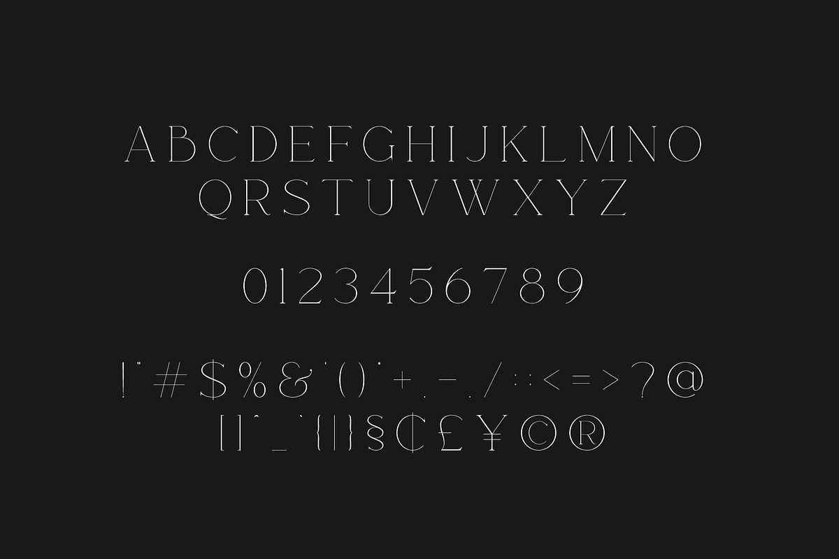 Rotten - Modern & Elegant Serif Font, a Serif Font by Pen Culture (Photo 10 of 13)