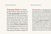 Arcuata; Serif Font Family, a Serif Font by Eko Bimantara (Thumbnail 9 of 15)