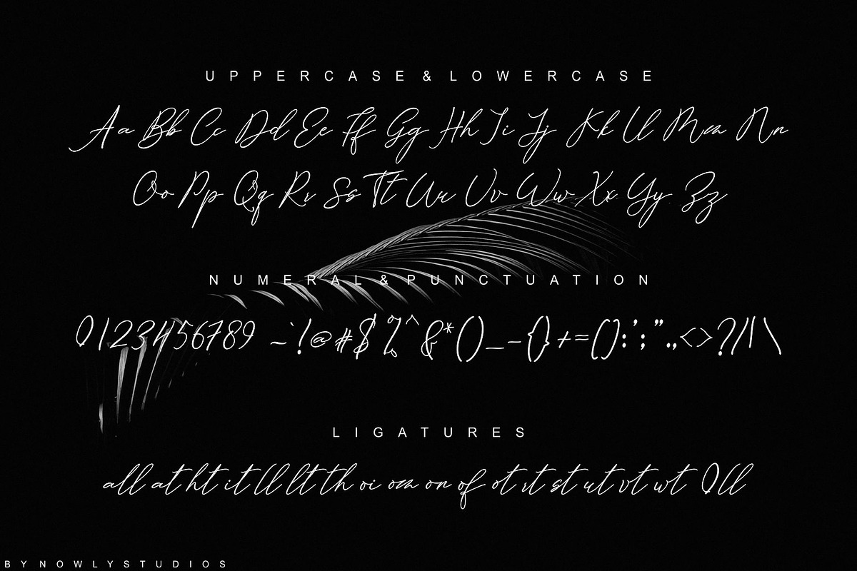 Bucking Hamshire Script, a Script Font by Nowlystudios (Photo 9 of 10)